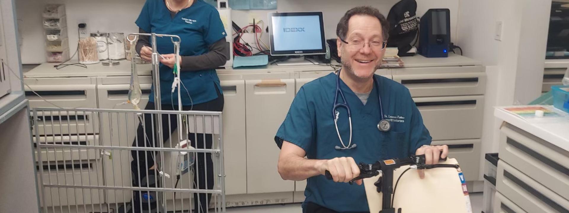 Veterinarian In New York, NY