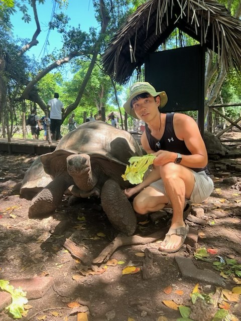 Exotic Turtle