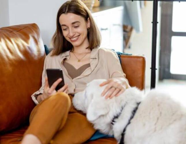 Continuous Glucose Monitoring for Diabetic Dogs with the FreeStyle Libre System