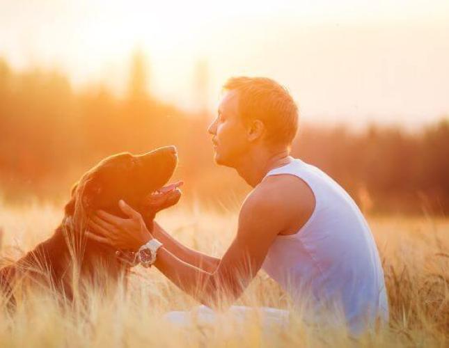 Understanding Pet Euthanasia: What to Expect and How to be Prepared